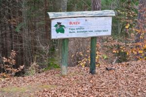 GOZDNA UČNA POT TROMEJNIK 8